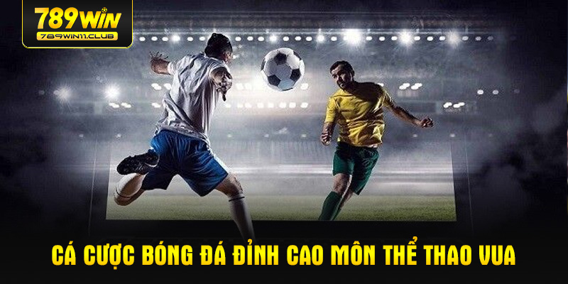 Cá cược bóng đá – Đỉnh cao môn thể thao vua