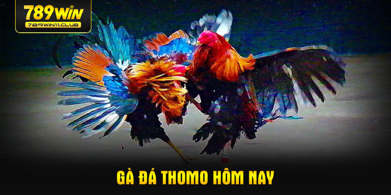 ga-da-thomo-hom-nay